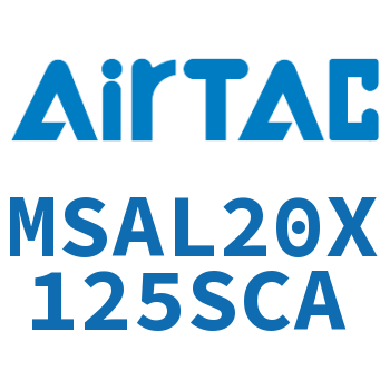 Front single acting mini cylinder-MSAL20X125SCA