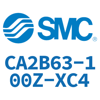 Standard cylinder-CA2B63-100Z-XC4