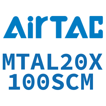 Rear single acting mini cylinder-MTAL20X100SCM