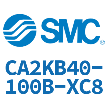 Standard cylinder-CA2KB40-100B-XC8