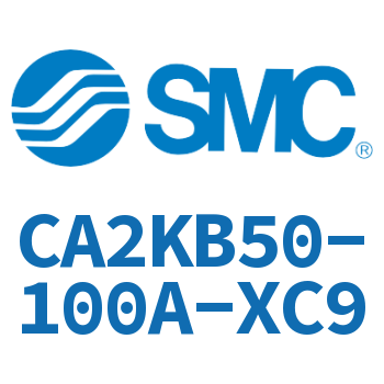 Standard cylinder-CA2KB50-100A-XC9