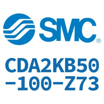 Standard cylinder-CDA2KB50-100-Z73