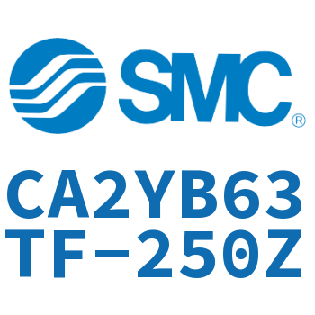 Smooth movement of the cylinder-CA2YB63TF-250Z