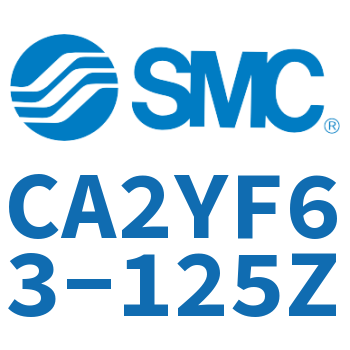 Rod side flanged smooth motion cylinder-CA2YF63-125Z