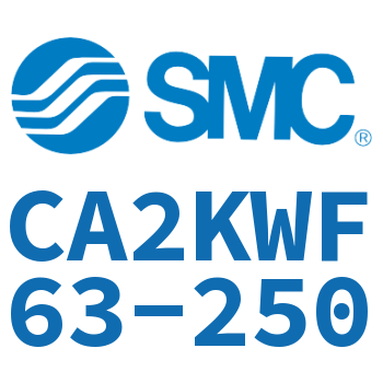 Rod side flanged standard cylinder-CA2KWF63-250