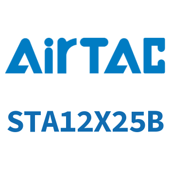 Single-action introduction of thin cylinder-STA12X25B