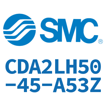 Axial pedestal type standard cylinder-CDA2LH50-45-A53Z