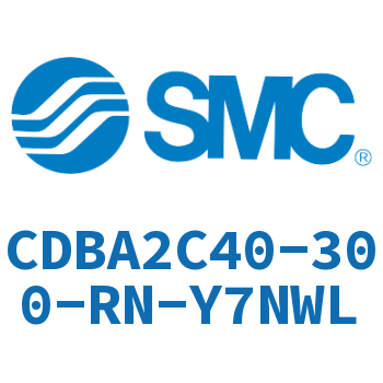 Single earring type end lock cylinder-CDBA2C40-300-RN-Y7NWL