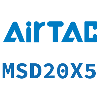 Multi-position fixed cylinder-MSD20X5