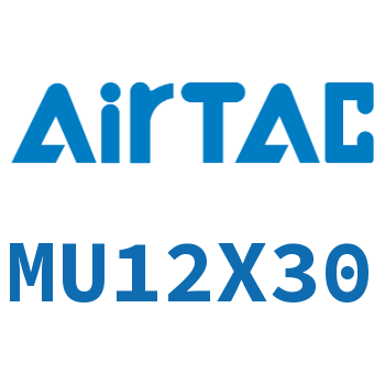 小型自由安装气缸 MU12X30