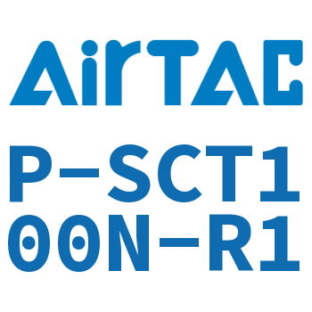 repair kit-P-SCT100N-R1