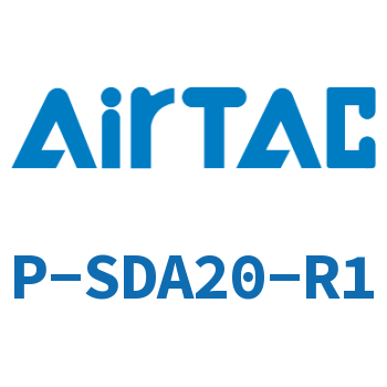 repair kit-P-SDA20-R1