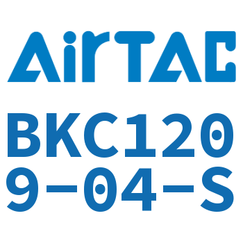 Lock nut straight connector BKC1209-04-S