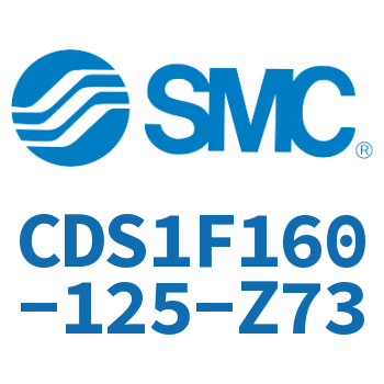 Rod side flanged standard cylinder-CDS1F160-125-Z73