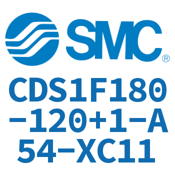 Rod side flanged standard cylinder-CDS1F180-120+1-A54-XC11