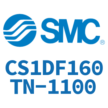 CS1DF160TN-1100