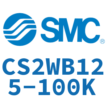 Standard cylinder-CS2WB125-100K