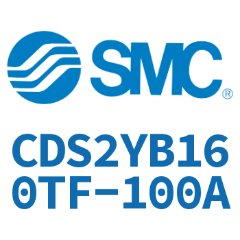 Smooth movement of the cylinder-CDS2YB160TF-100A