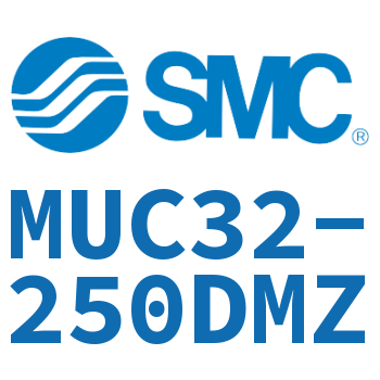 Single earring type flat cylinder-MUC32-250DMZ