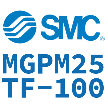 薄型导杆气缸 MGPM25TF-100