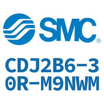 迷你气缸 CDJ2B6-30R-M9NWM