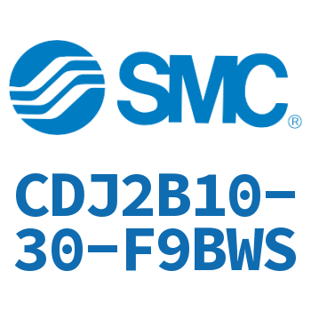 迷你气缸 CDJ2B10-30-F9BWS