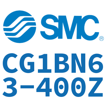 Standard cylinder-CG1BN63-400Z