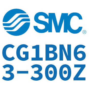 Standard cylinder-CG1BN63-300Z