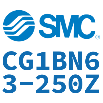 Standard cylinder-CG1BN63-250Z