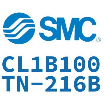 CL1B100TN-216B