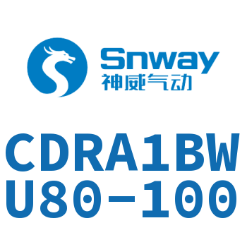 内置磁环双轴角度可调节摆动气缸-CDRA1BWU80-100
