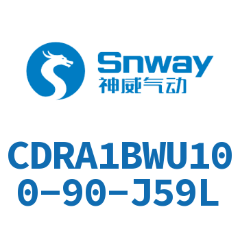 内置磁环双轴角度可调节摆动气缸-CDRA1BWU100-90-J59L