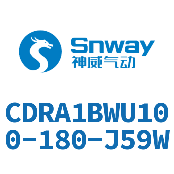 内置磁环双轴角度可调节摆动气缸-CDRA1BWU100-180-J59W