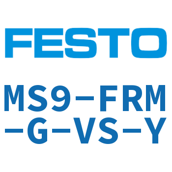 MS9-FRM-G-VS-Y