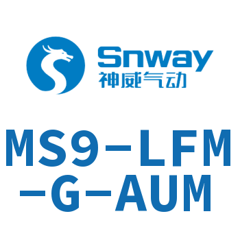 超精细过滤器-MS9-LFM-G-AUM