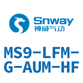 超精细过滤器-MS9-LFM-G-AUM-HF