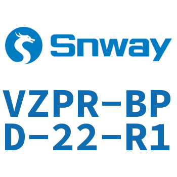 球阀驱动单元-VZPR-BPD-22-R1