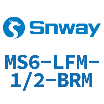 精细过滤器-MS6-LFM-1/2-BRM