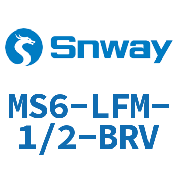 精细过滤器-MS6-LFM-1/2-BRV