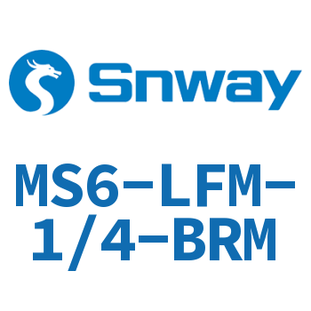 精细过滤器-MS6-LFM-1/4-BRM