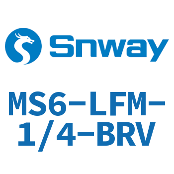 精细过滤器-MS6-LFM-1/4-BRV
