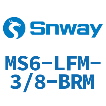 精细过滤器-MS6-LFM-3/8-BRM