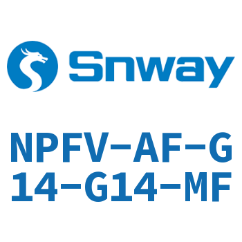 连接件-NPFV-AF-G14-G14-MF