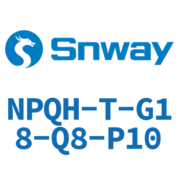 插头-NPQH-T-G18-Q8-P10