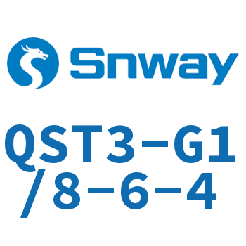 QST3-G1/8-6-4