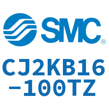 杆不回转型迷你气缸 CJ2KB16-100TZ