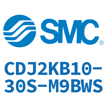 杆不回转型迷你气缸 CDJ2KB10-30S-M9BWS