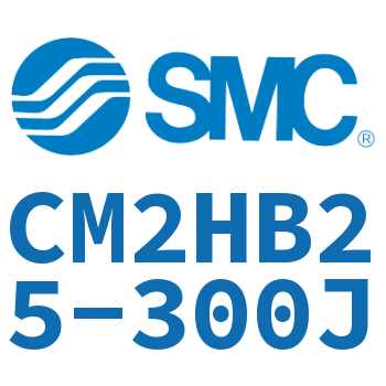 气液联用标准型气缸 CM2HB25-300J