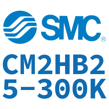 气液联用标准型气缸 CM2HB25-300K