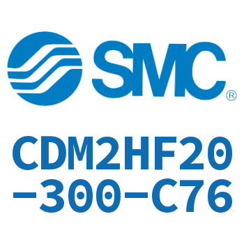 Gas-hydraulic standard cylinder-CDM2HF20-300-C76